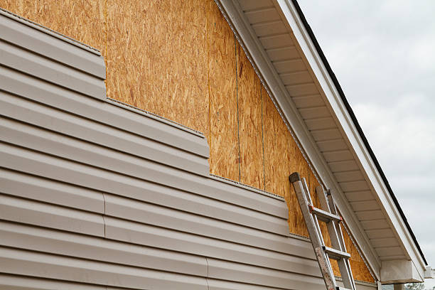 Professional Siding Inspection technician working in Hudson, IL